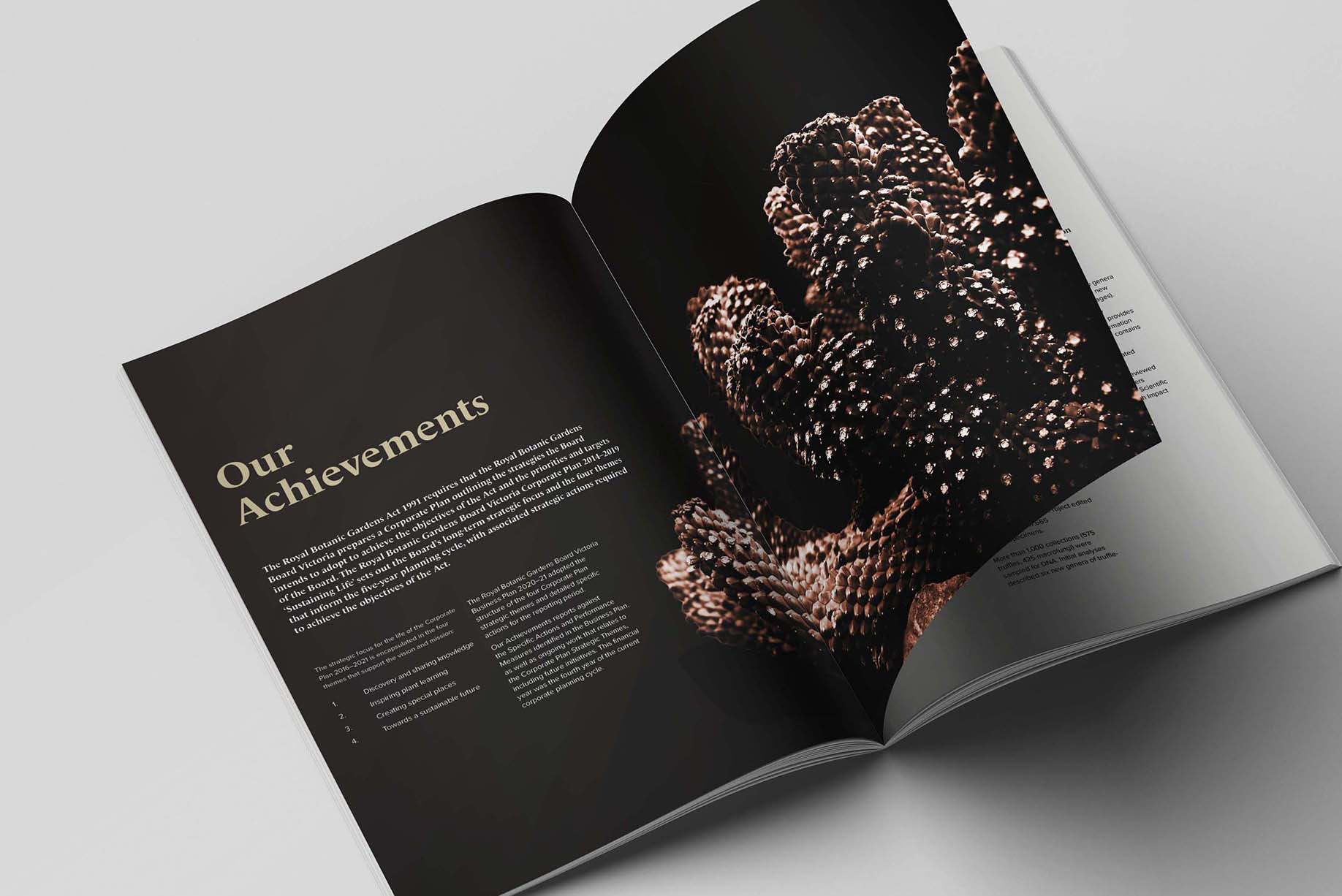 Our Achievements Spread